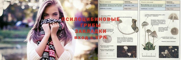 прущие крисы Алзамай