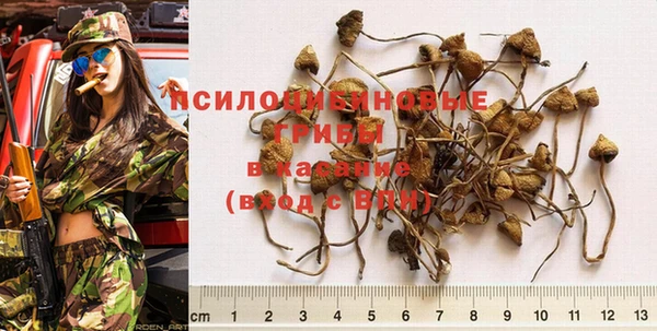 таблы Алексеевка