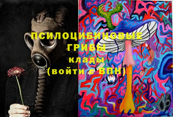 прущие крисы Алзамай