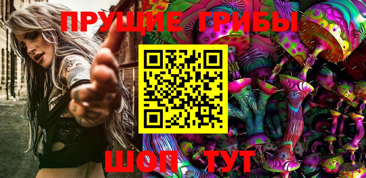 Галлюциногенные грибы Psilocybe  Вход с VPN  Моздок 