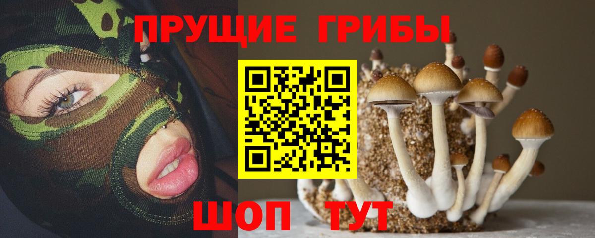 Галлюциногенные грибы прущие грибы Моздок